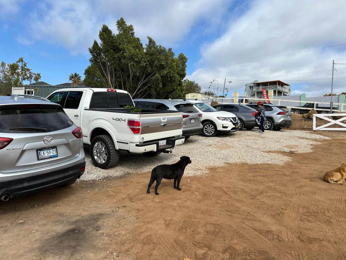 Ecovino Valle De Guadalupe Zewnętrze zdjęcie