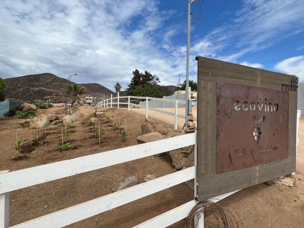 Ecovino Valle De Guadalupe Zewnętrze zdjęcie