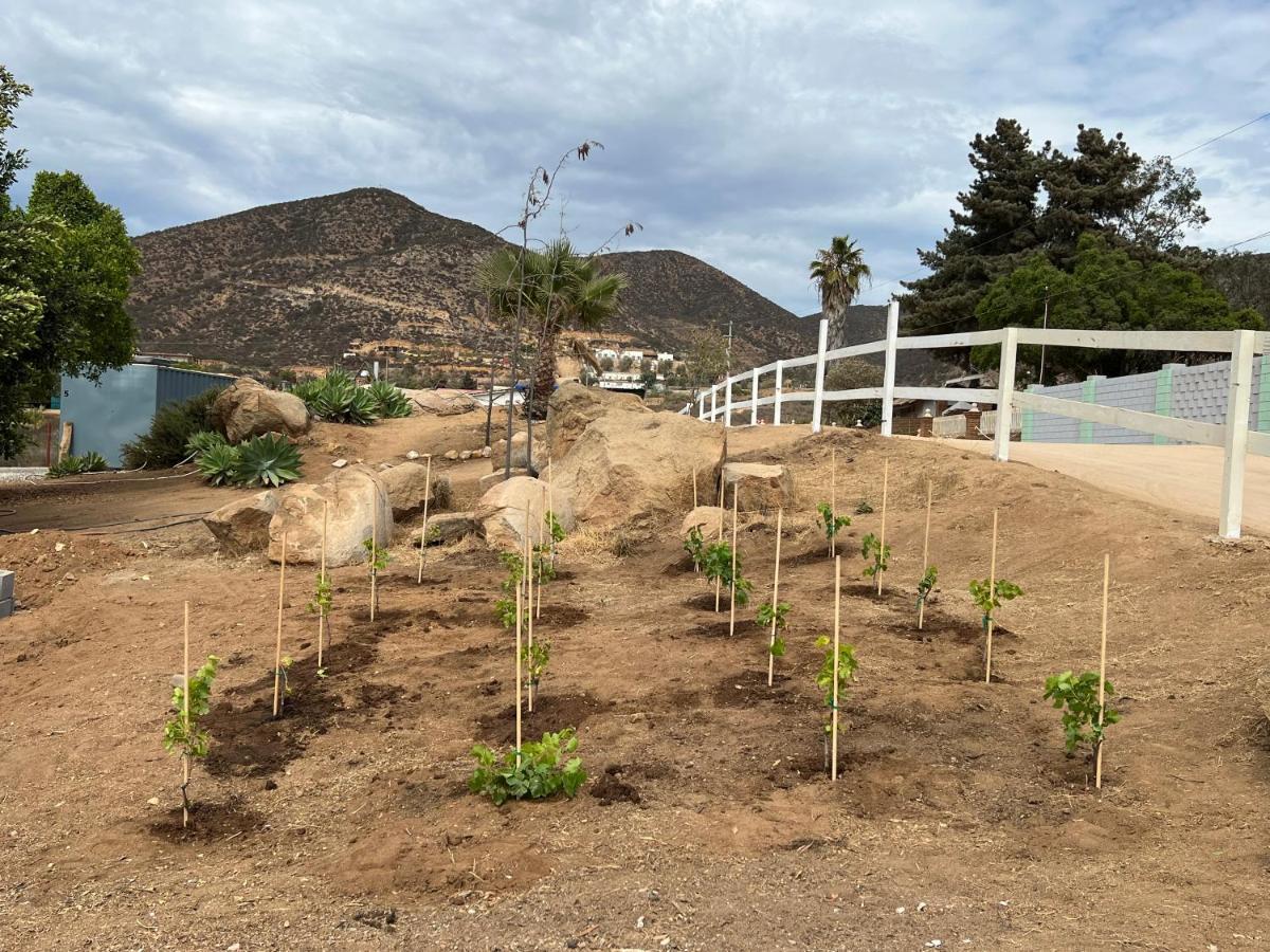 Ecovino Valle De Guadalupe Zewnętrze zdjęcie