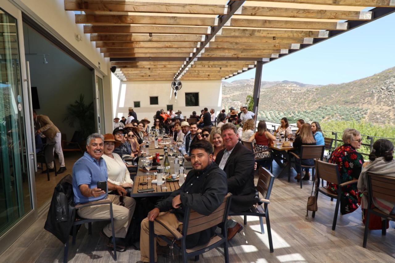 Ecovino Valle De Guadalupe Zewnętrze zdjęcie